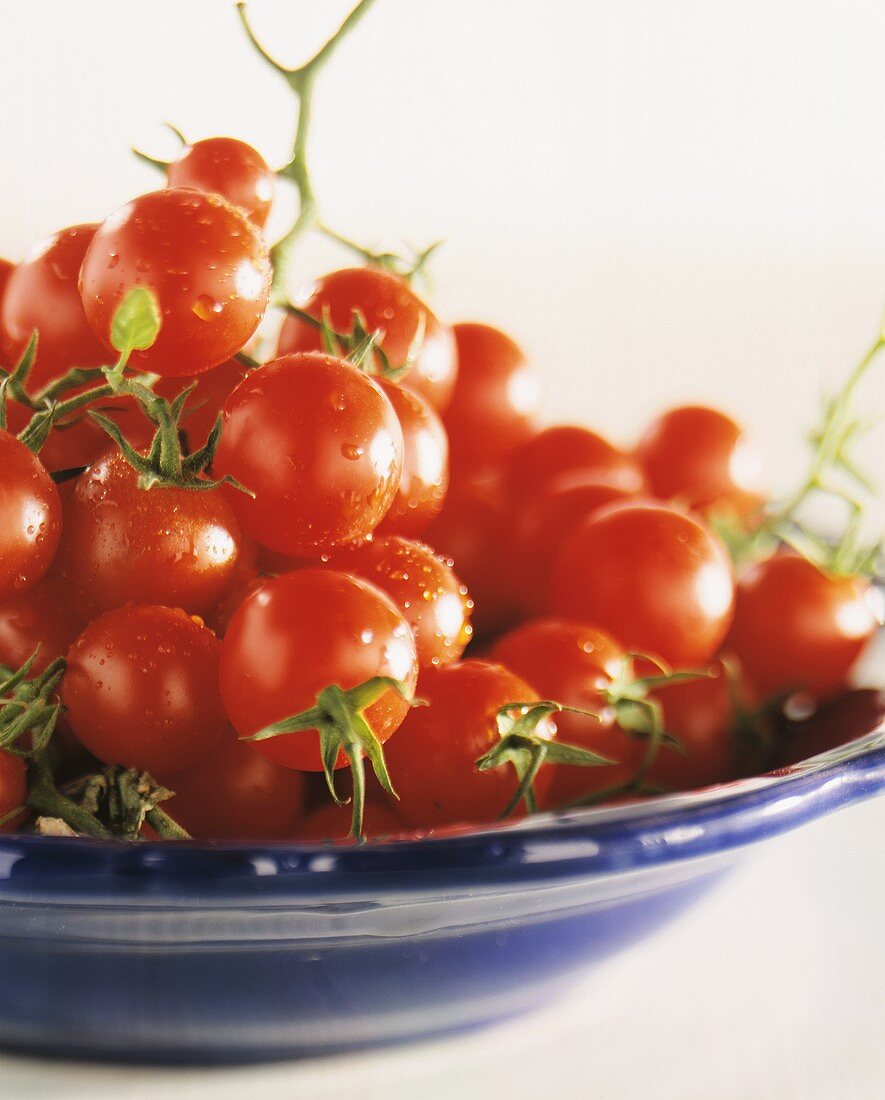 Fresh cherry tomatoes on a blue plate