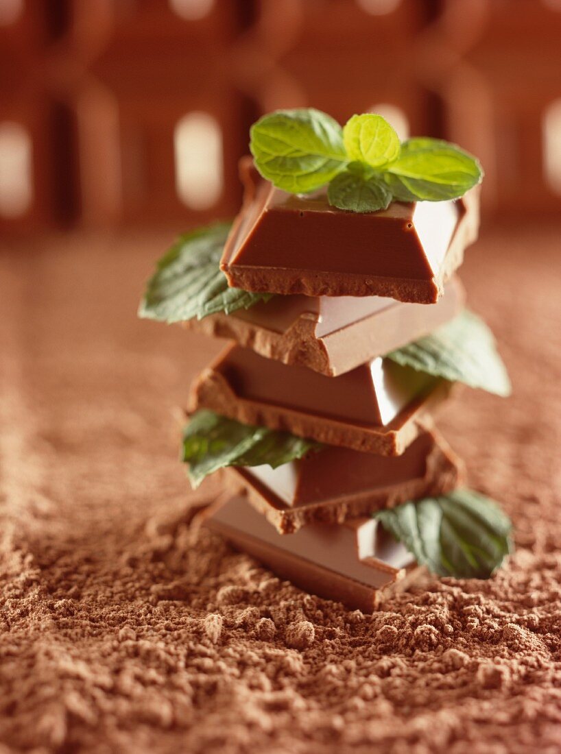 Schokoladenstücke mit Minzeblättchen auf Kakaopulver