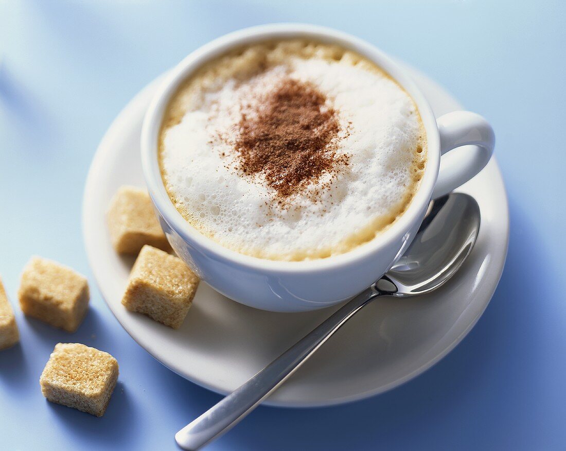 A cup of cappuccino with cocoa powder and raw sugar cubes