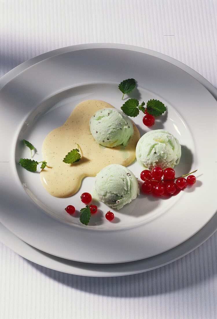 Kiwi ice cream with fresh redcurrants and sauce