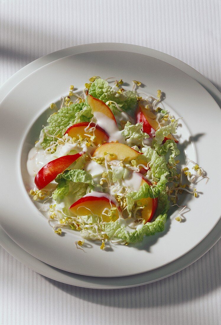 Blattsalat mit Sprossen und Nektarinen