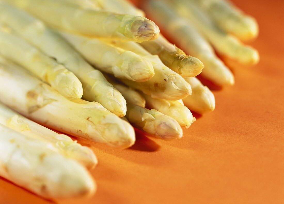 White asparagus on orange background