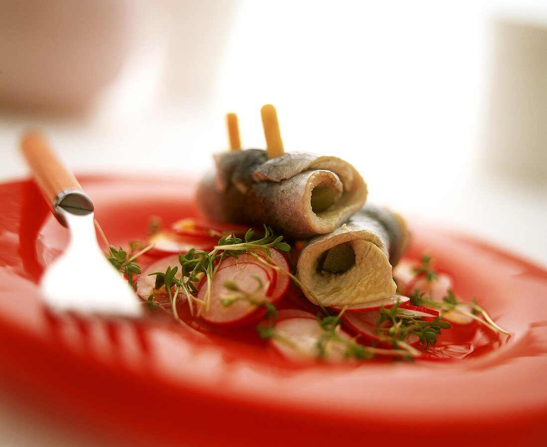 Rollmops auf Radieschensalat mit Kresse