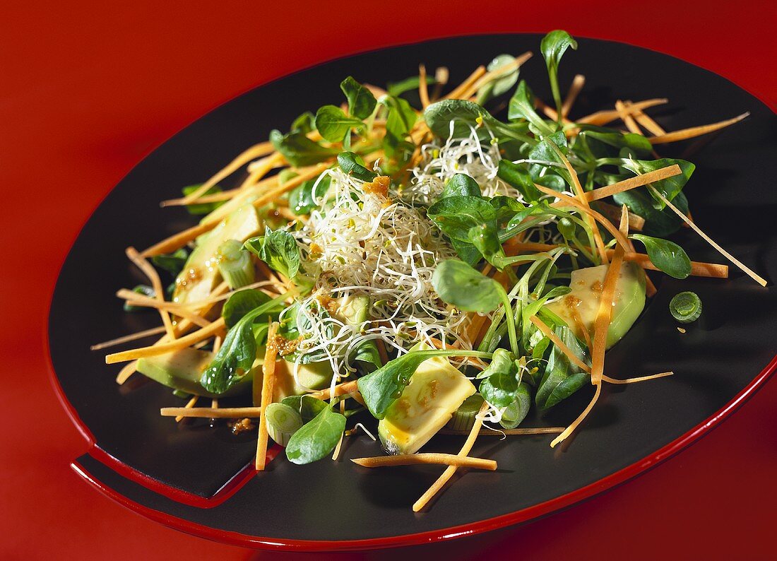 Kyoto salad with avocado, sprouts and corn salad