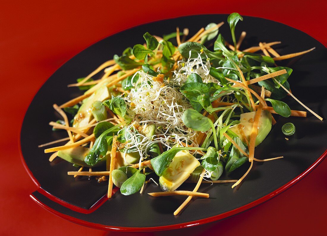 Salat Kyoto mit Avocado, Sprossen und Feldsalat