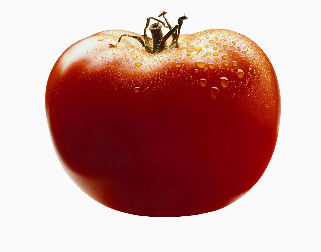 A fresh tomato with drops of water
