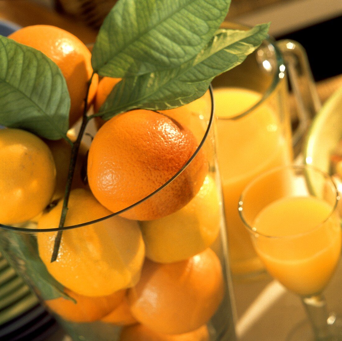 Zitronen und Orangen mit Blättern im Glas; Orangensaft