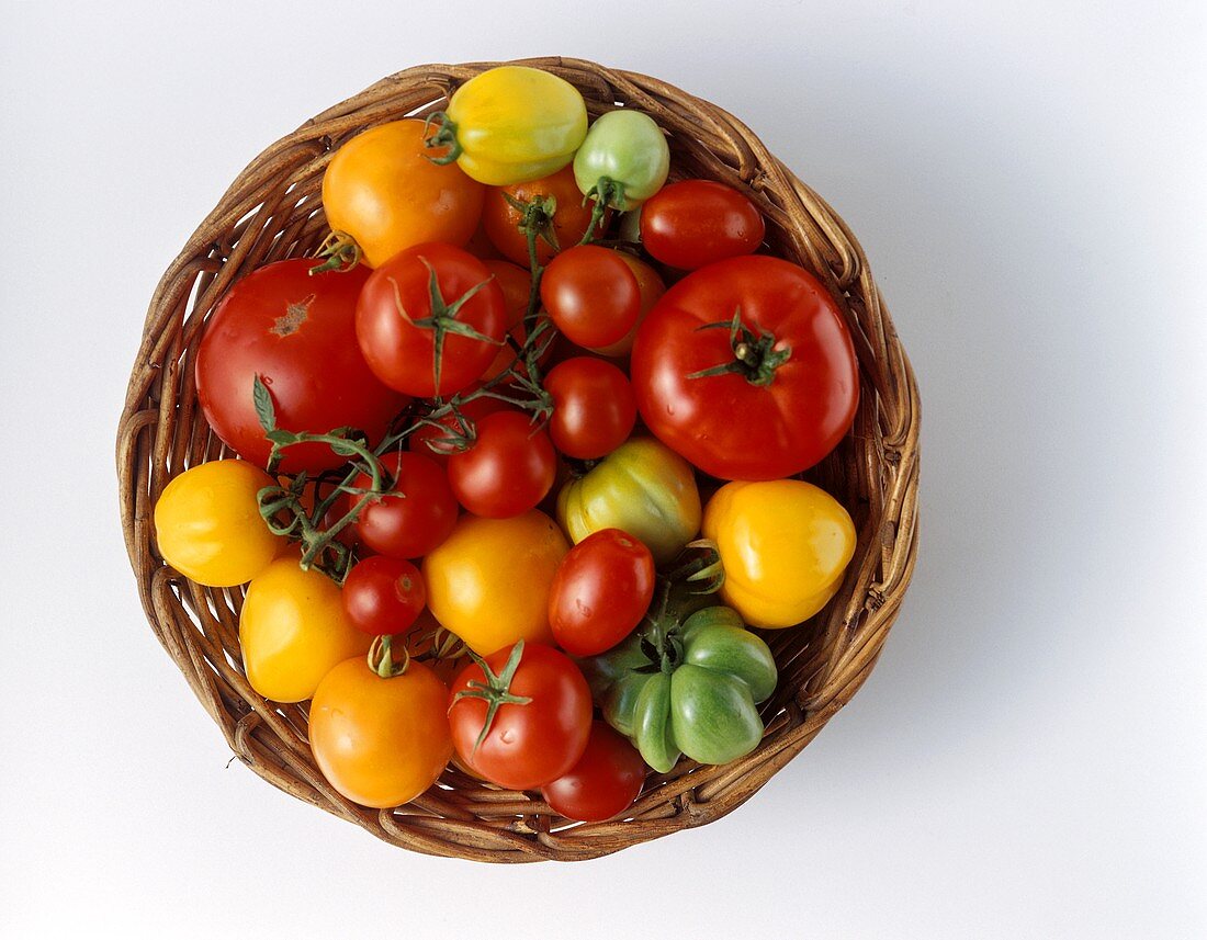 Verschiedene Tomatensorten im Korb