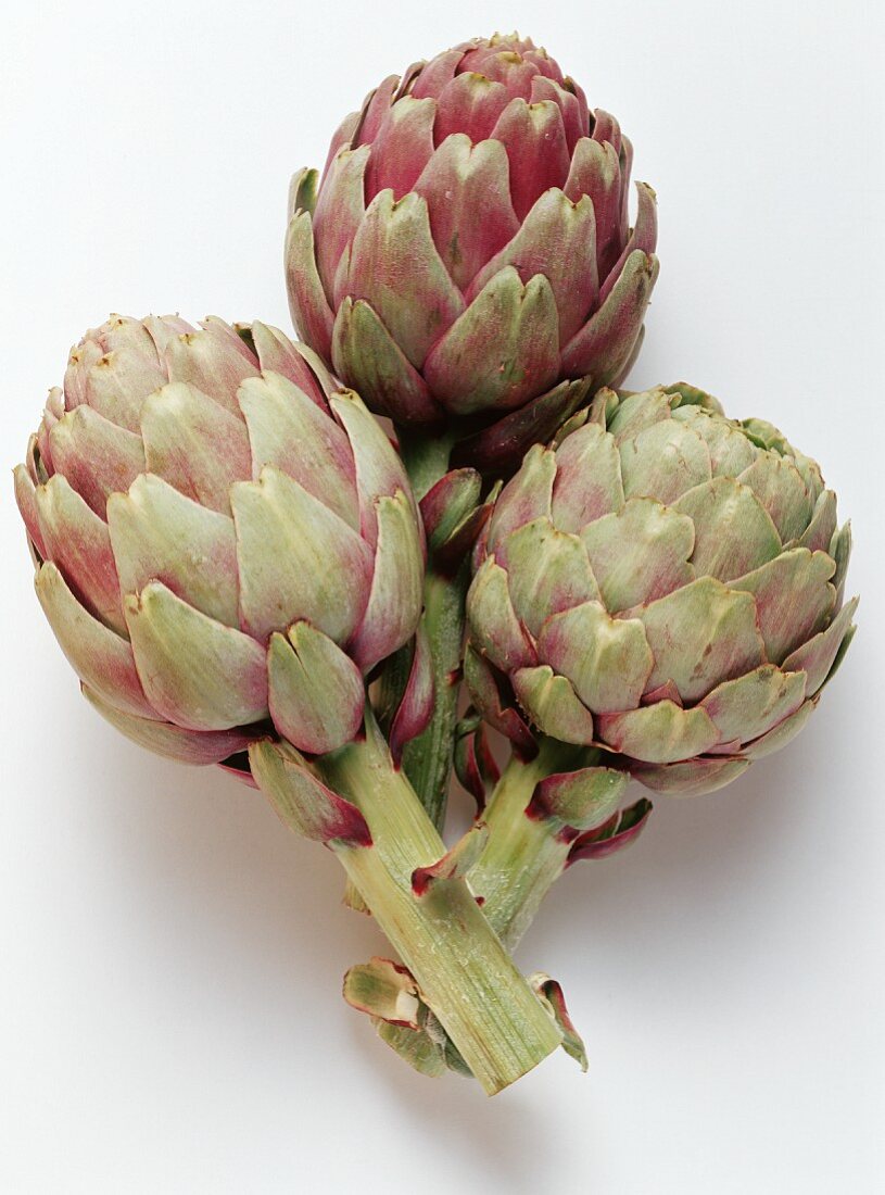 Purple Artichokes