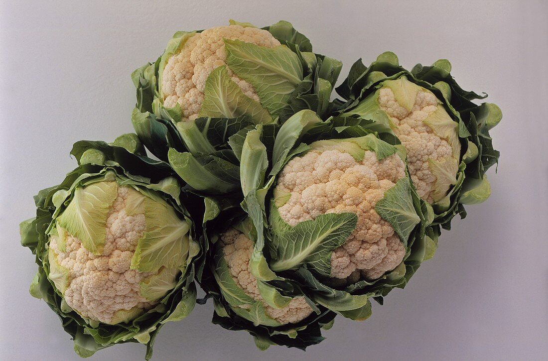 Several cauliflowers on white background