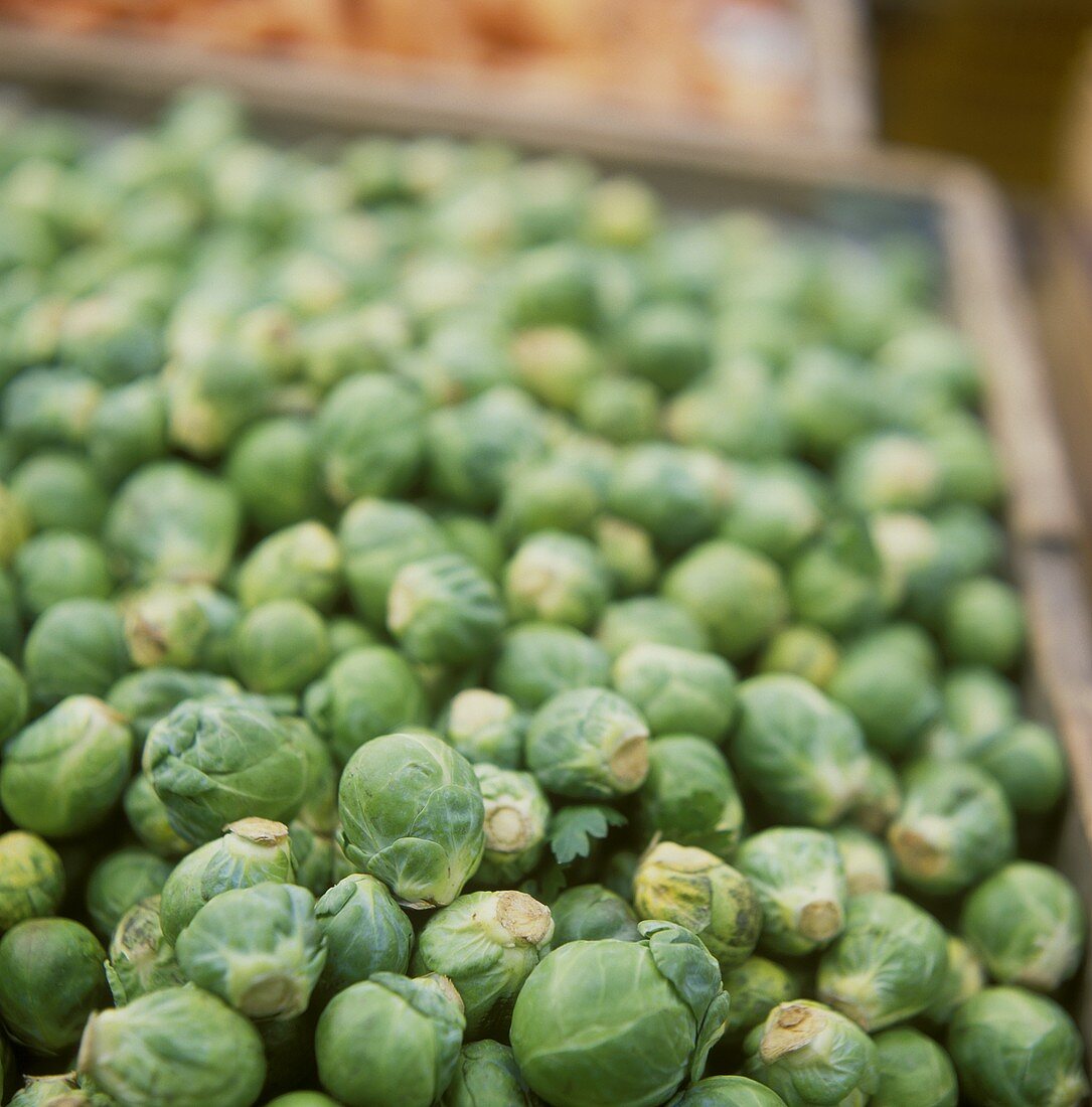 Brussels sprouts in a crate