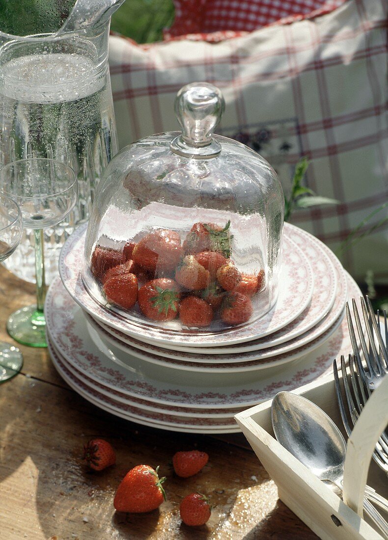 Fresh strawberries under a glass cover on a buffet table