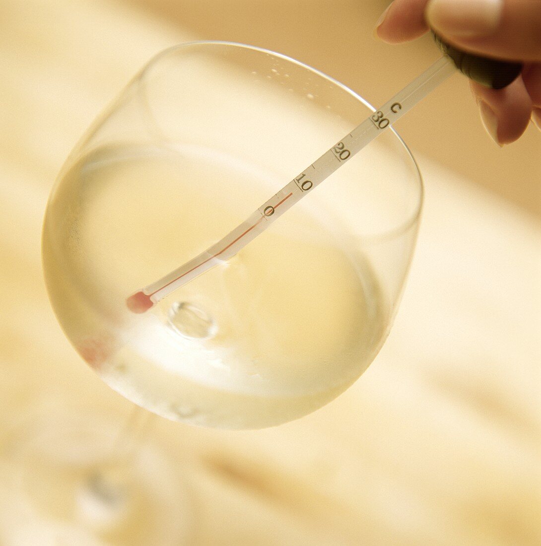 Wine thermometer in white wine glass