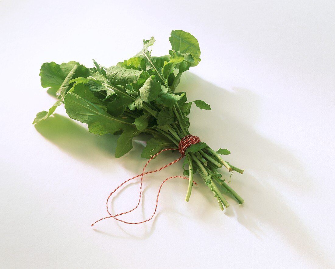 A bunch of rocket on white background