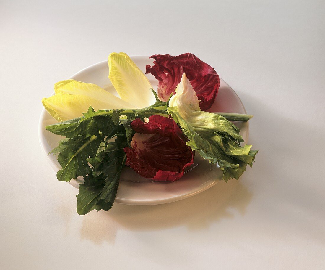 Verschiedene Salatblätter auf weißem Teller