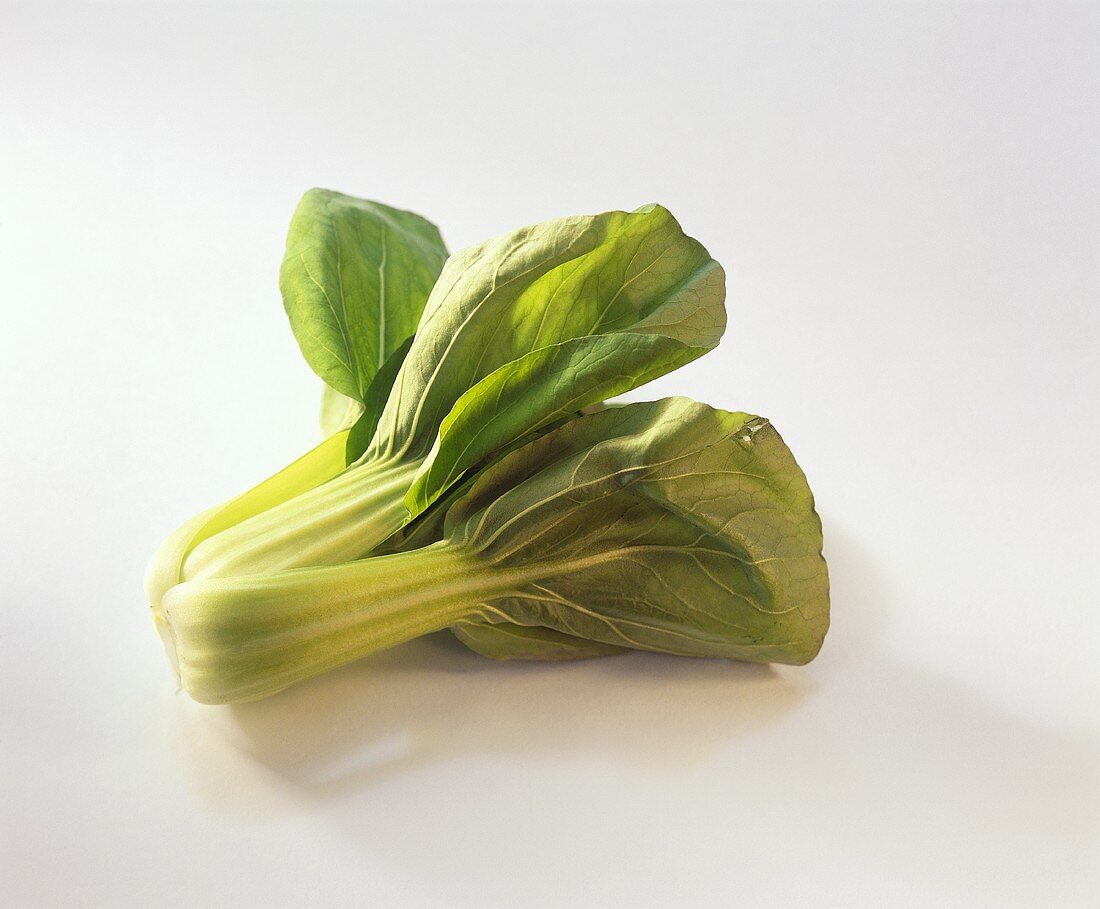 Pak Choi auf weißem Untergrund