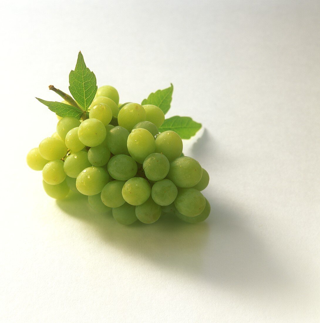 Bunch of Green Grapes with Water Droplets