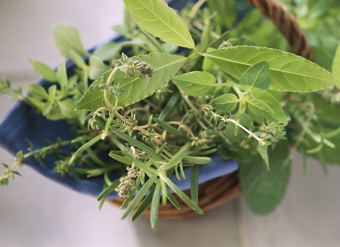 Various fresh herbs in basket