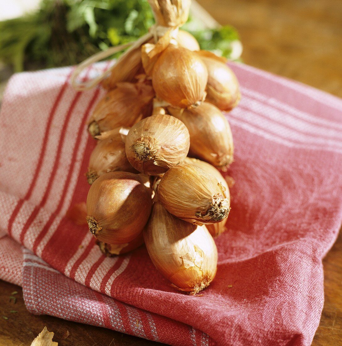 Shallots on tea towel