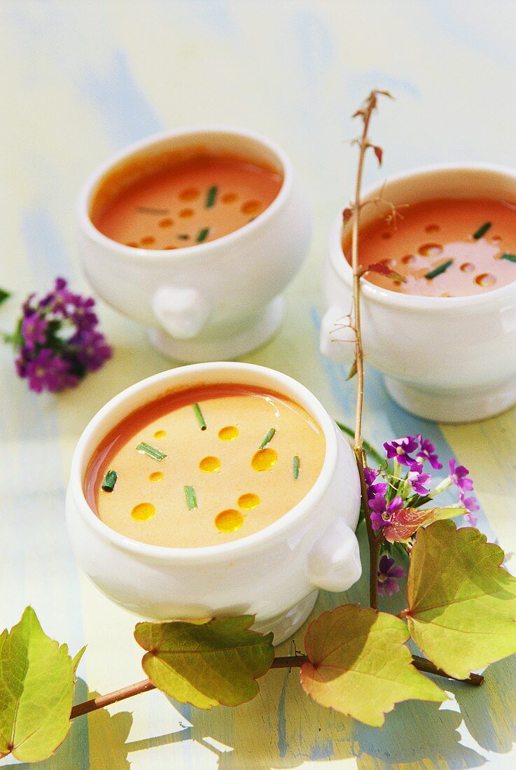 Tomato soup in white soup bowls