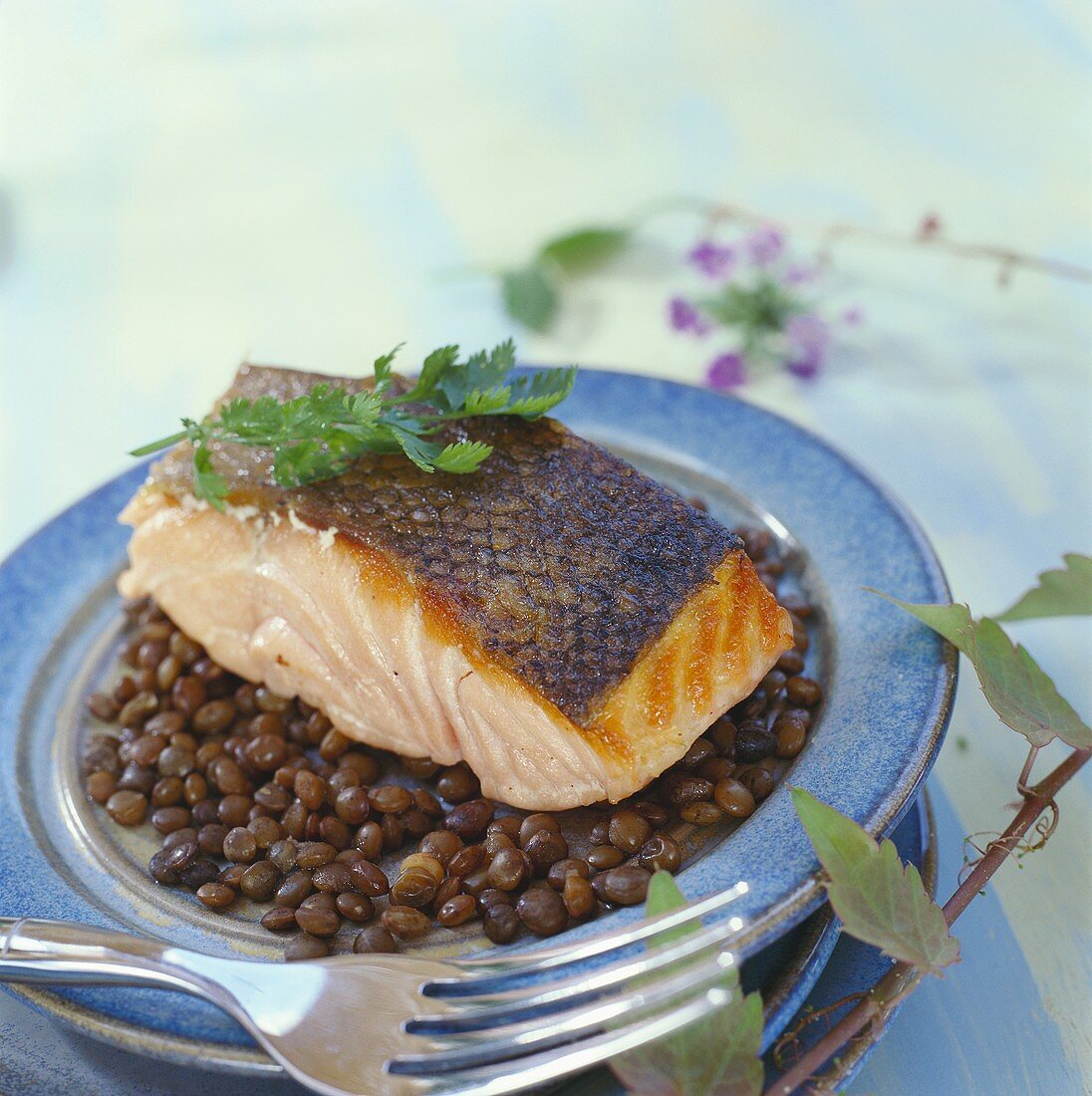 Grilled salmon on lentils