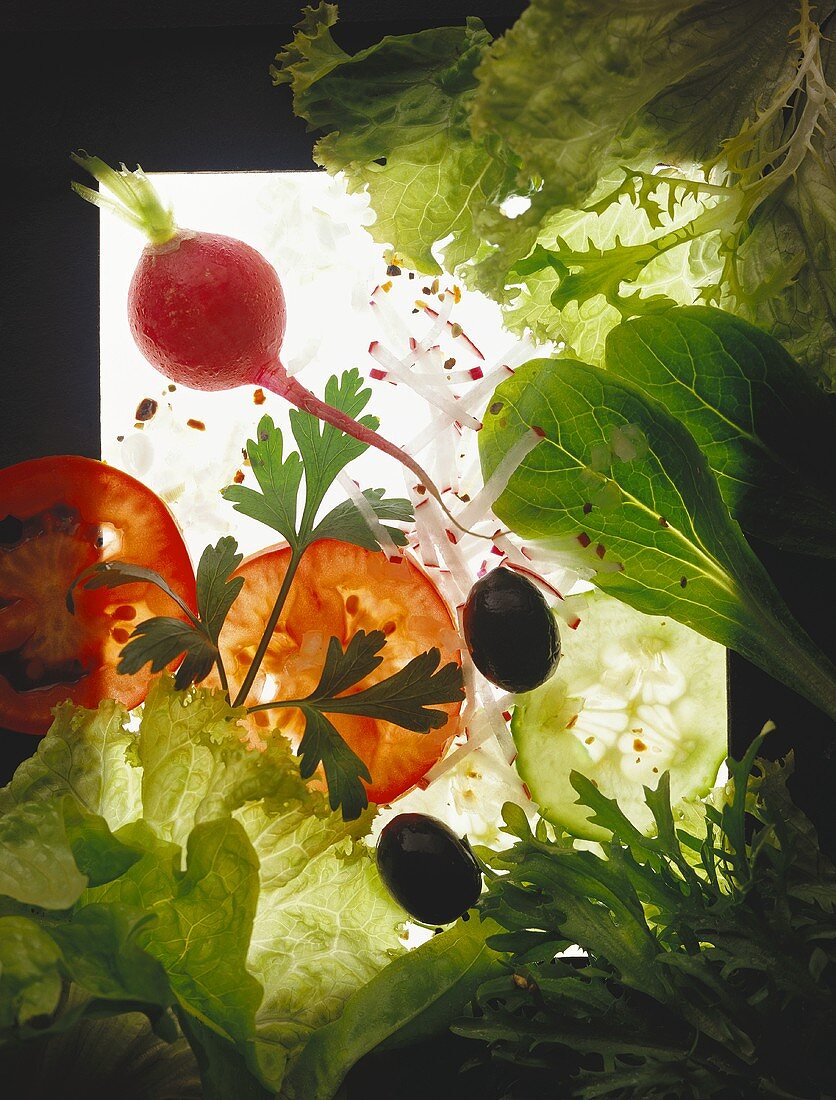 Verschiedene Salatzutaten (Radieschen, Tomaten, Blattsalat)