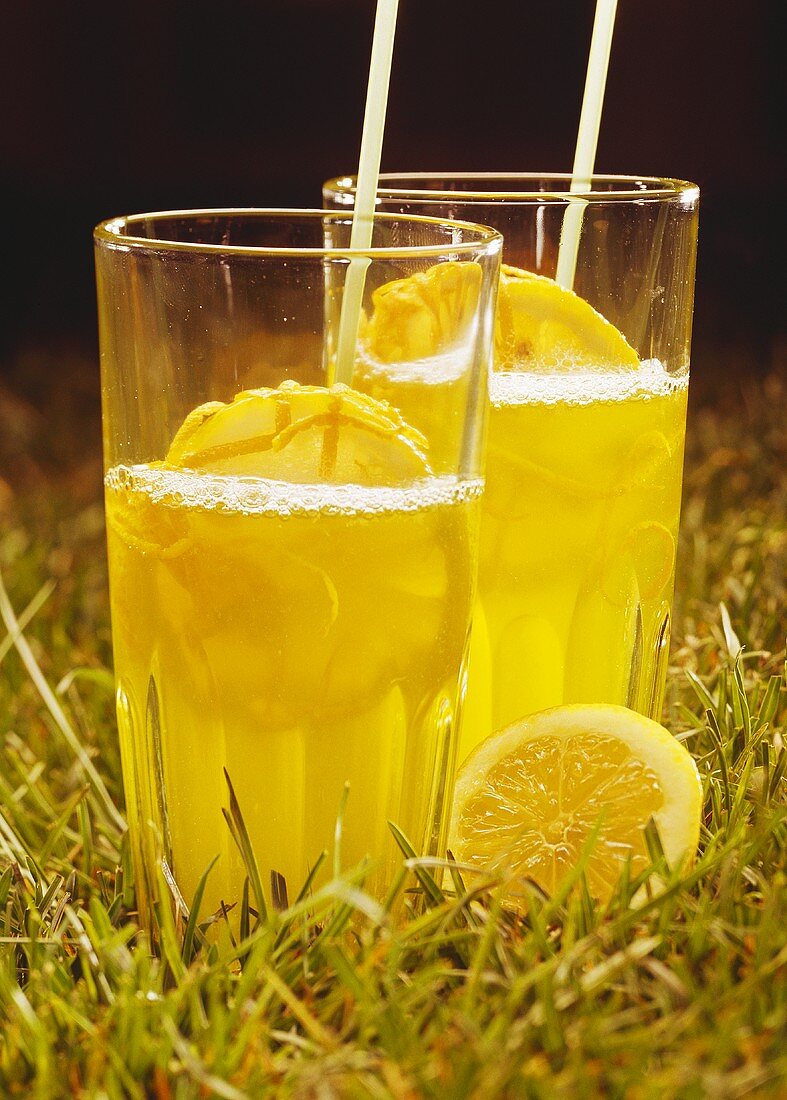 Vermouth Cobbler with lemons in two glasses in meadow
