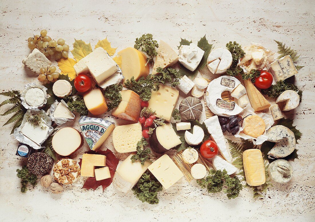Various different cheeses on stone background