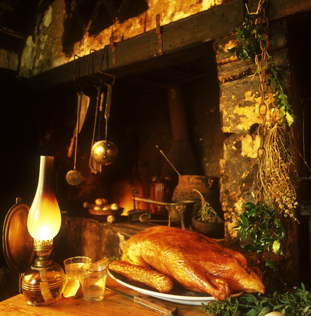 Roast goose in front of old fireplace