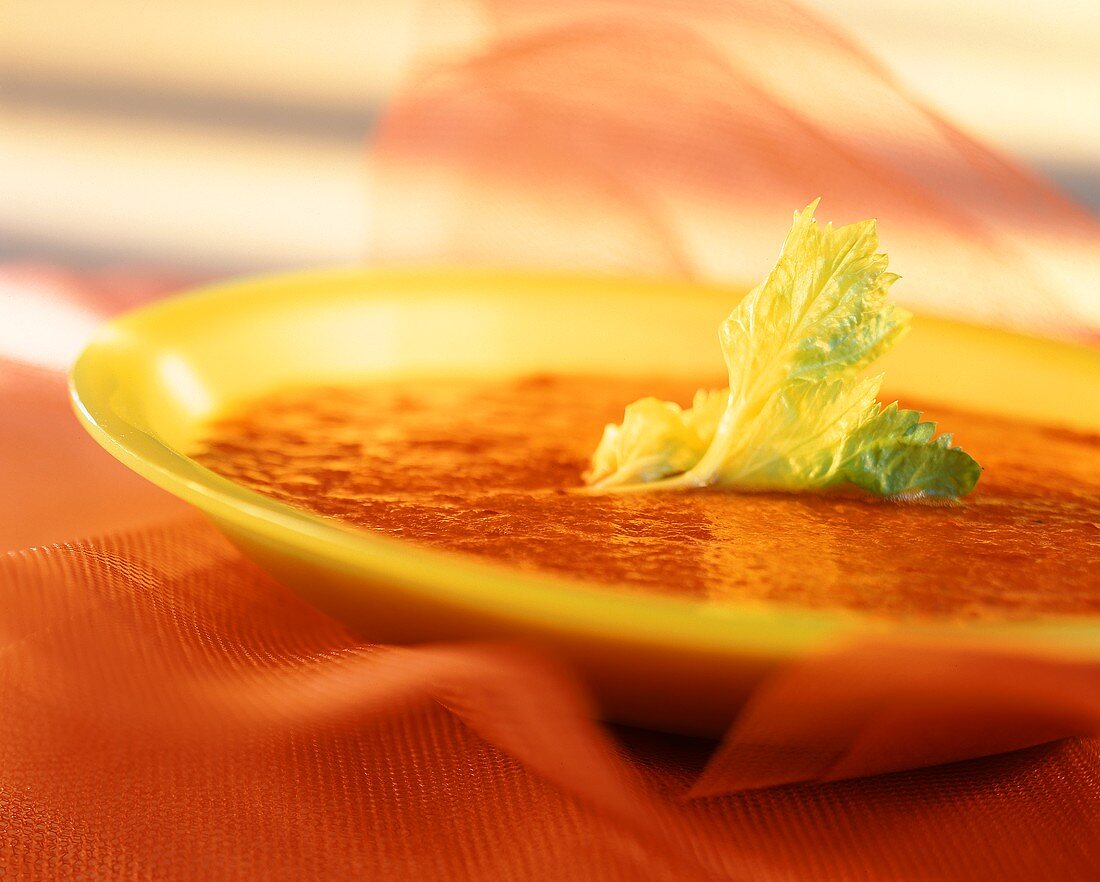 Vegetable soup with celery in yellow plate