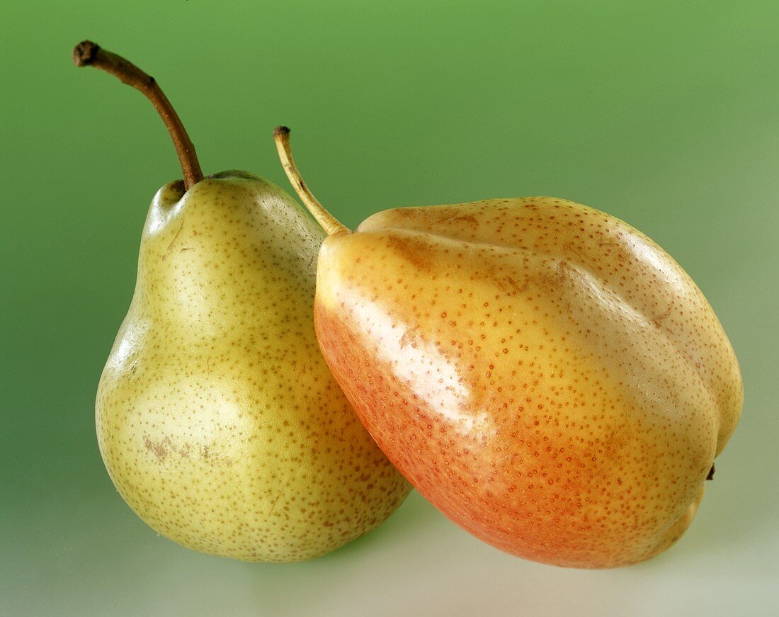 Two pears against green background