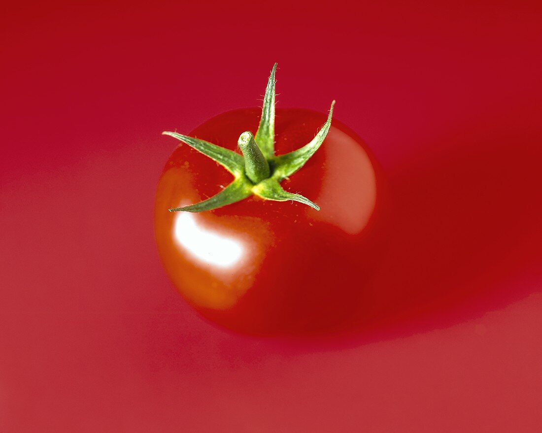 Tomate auf rotem Untergrund