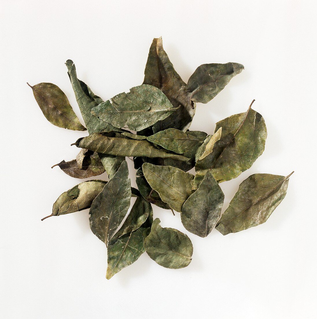 Dried curry leaves on a white background