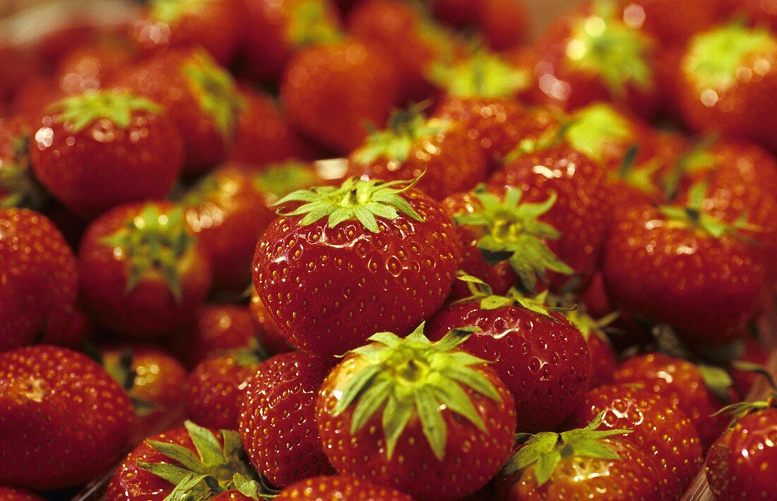 Viele frische Erdbeeren (bildfüllend)