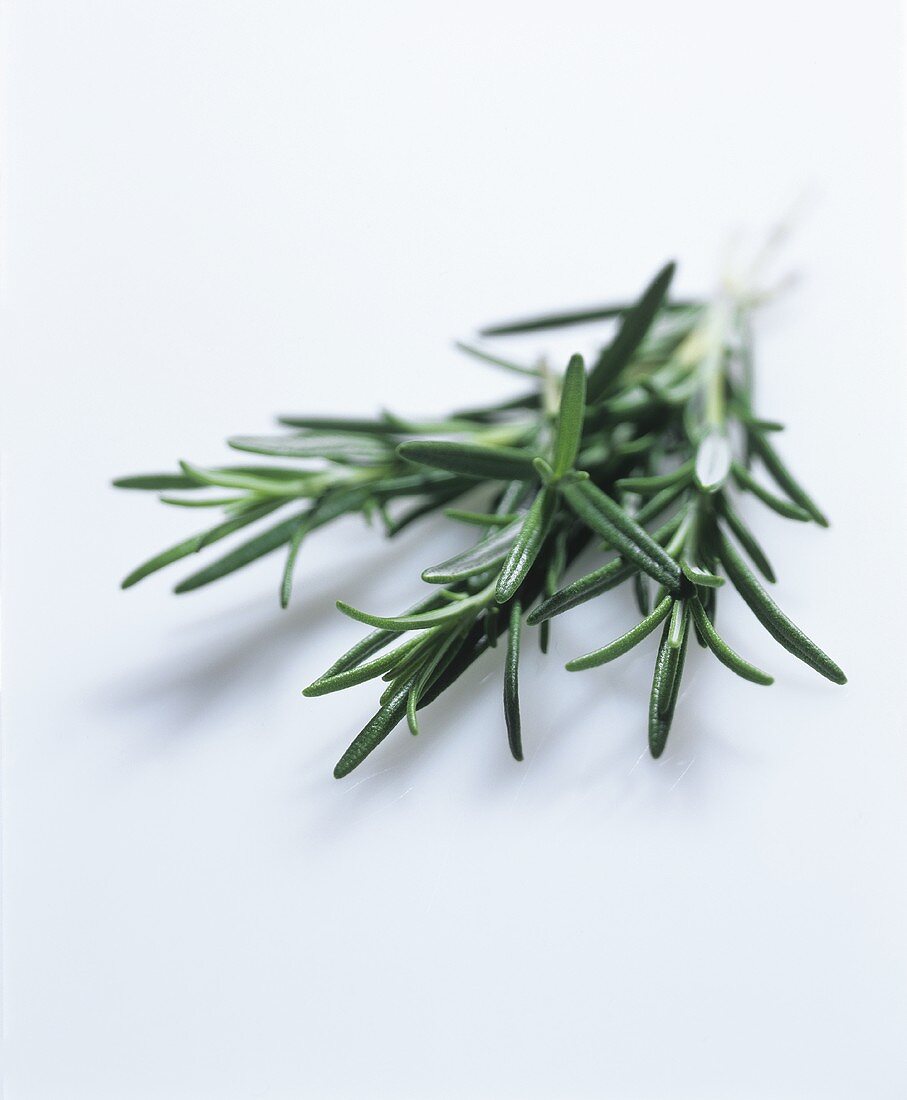 Fresh rosemary