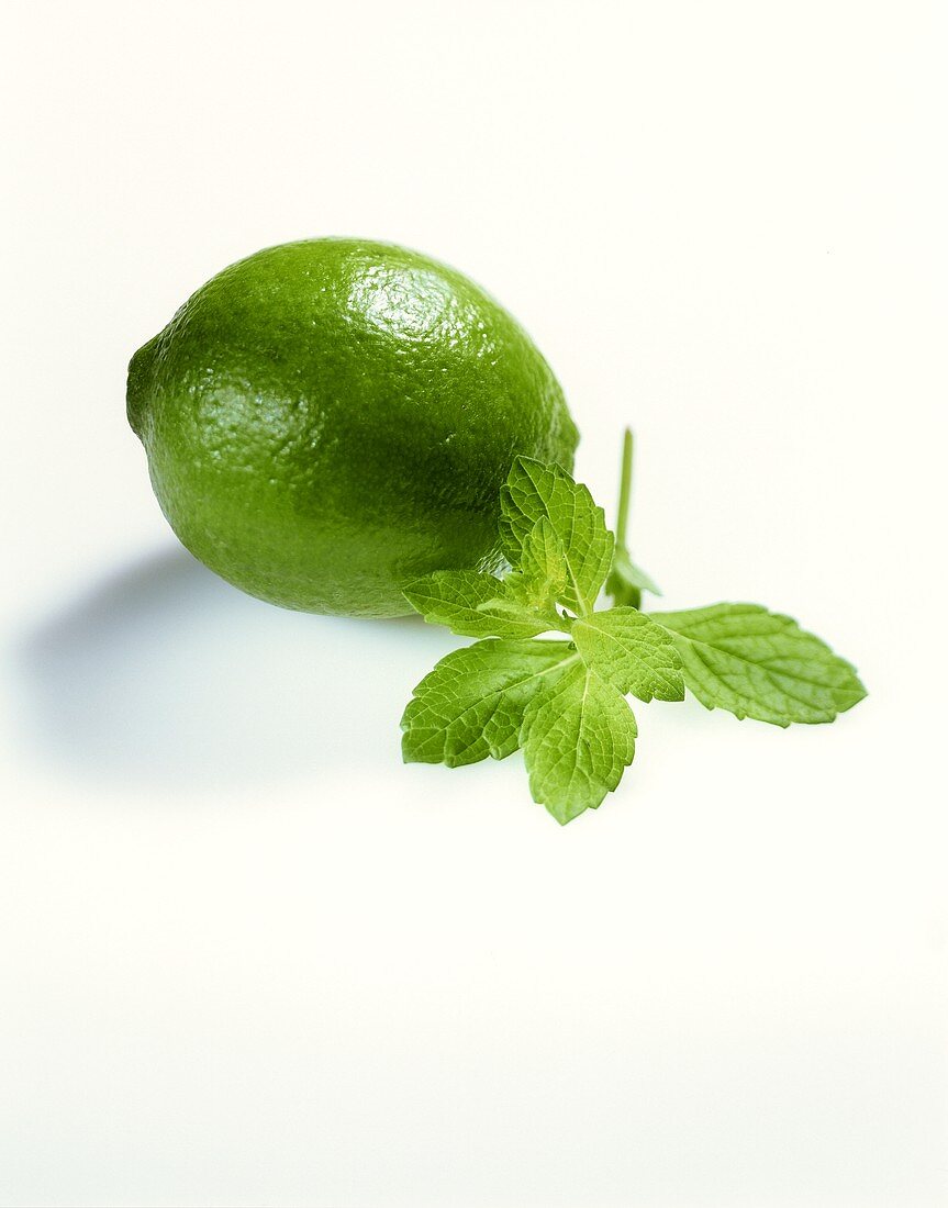 Lime and fresh lemon balm