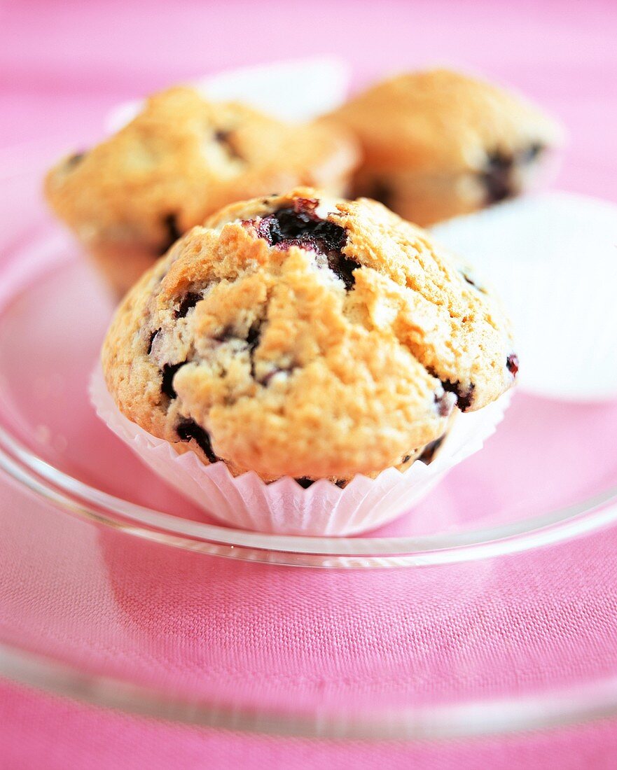 Heidelbeer-Joghurt-Muffin in Papiermanschette auf Glasteller