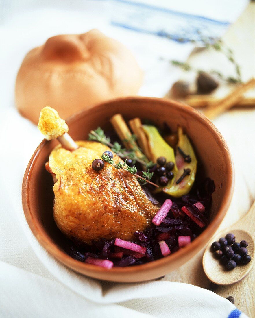 Duck leg on apple & red cabbage in brown bowl