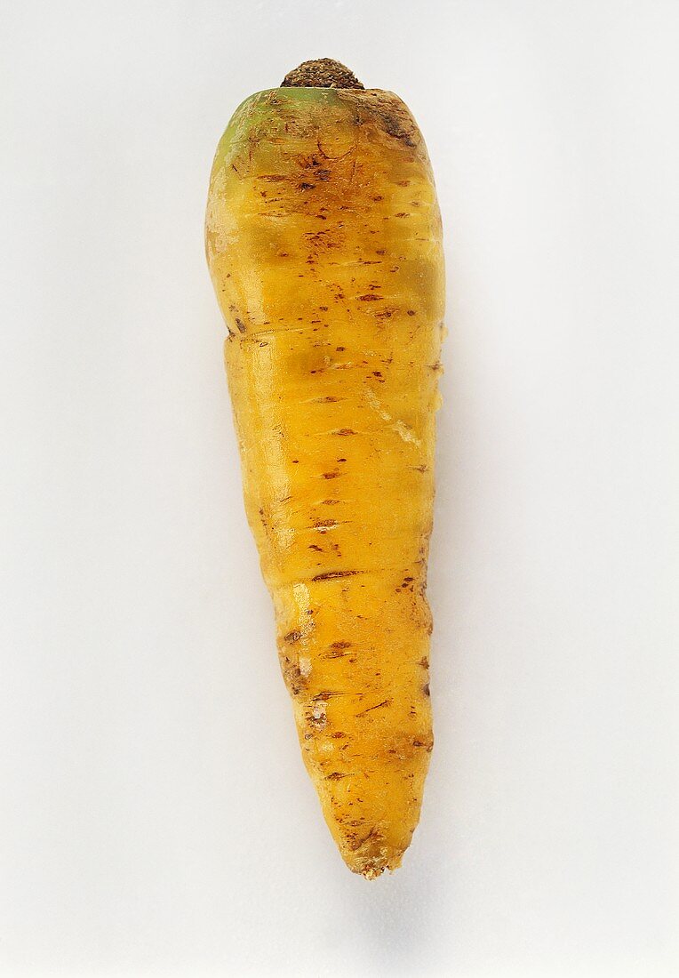 Yellow carrot on white background