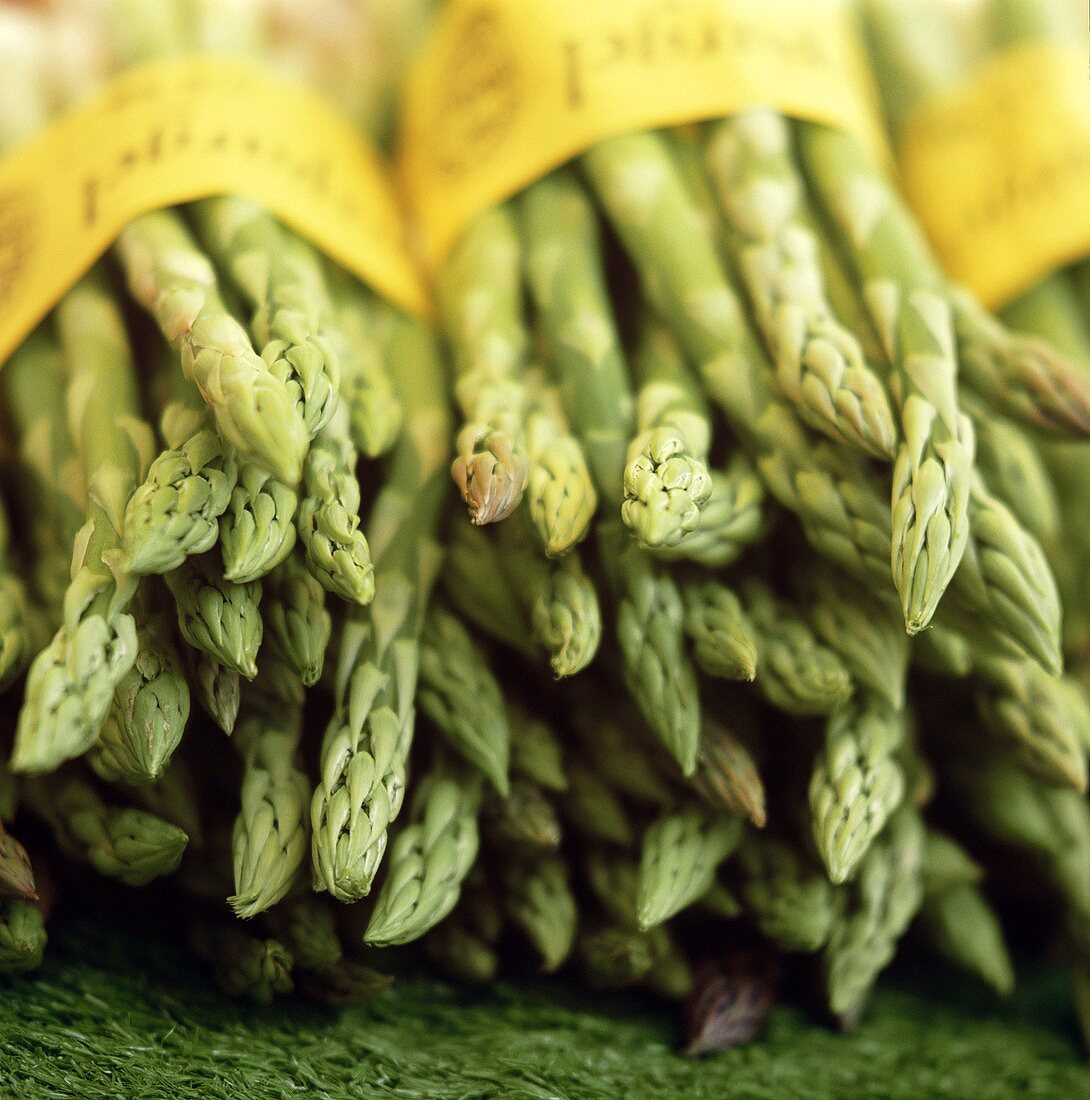 Several bunches of green asparagus at the market