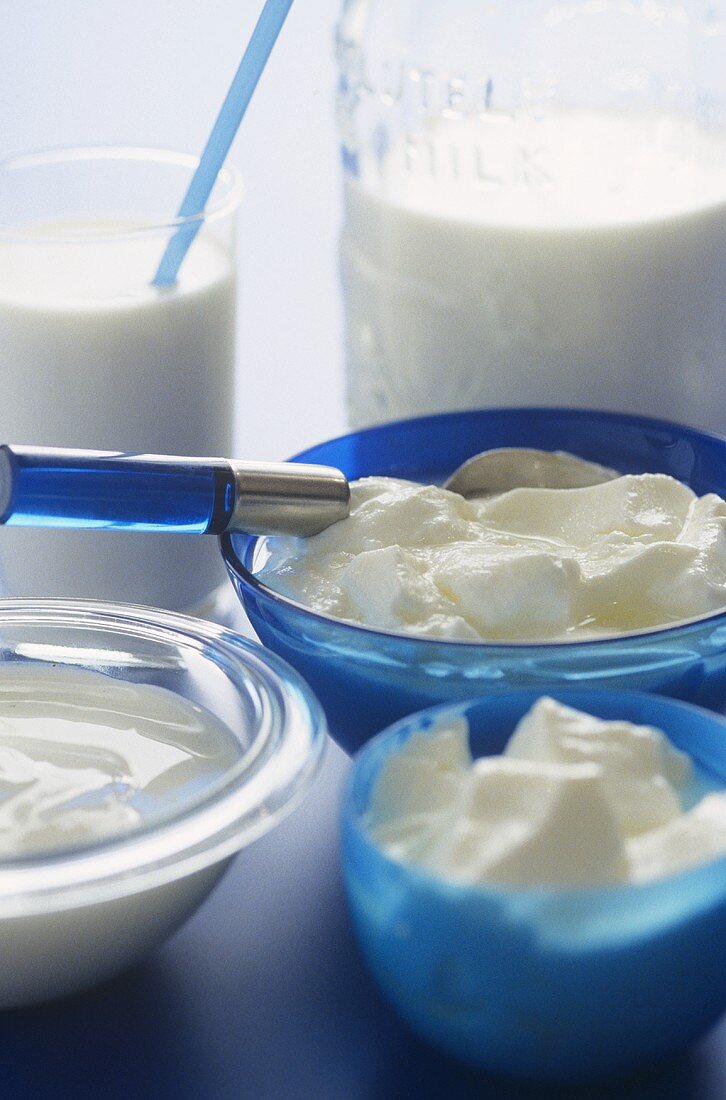 Various dairy products (milk, yoghurt etc)