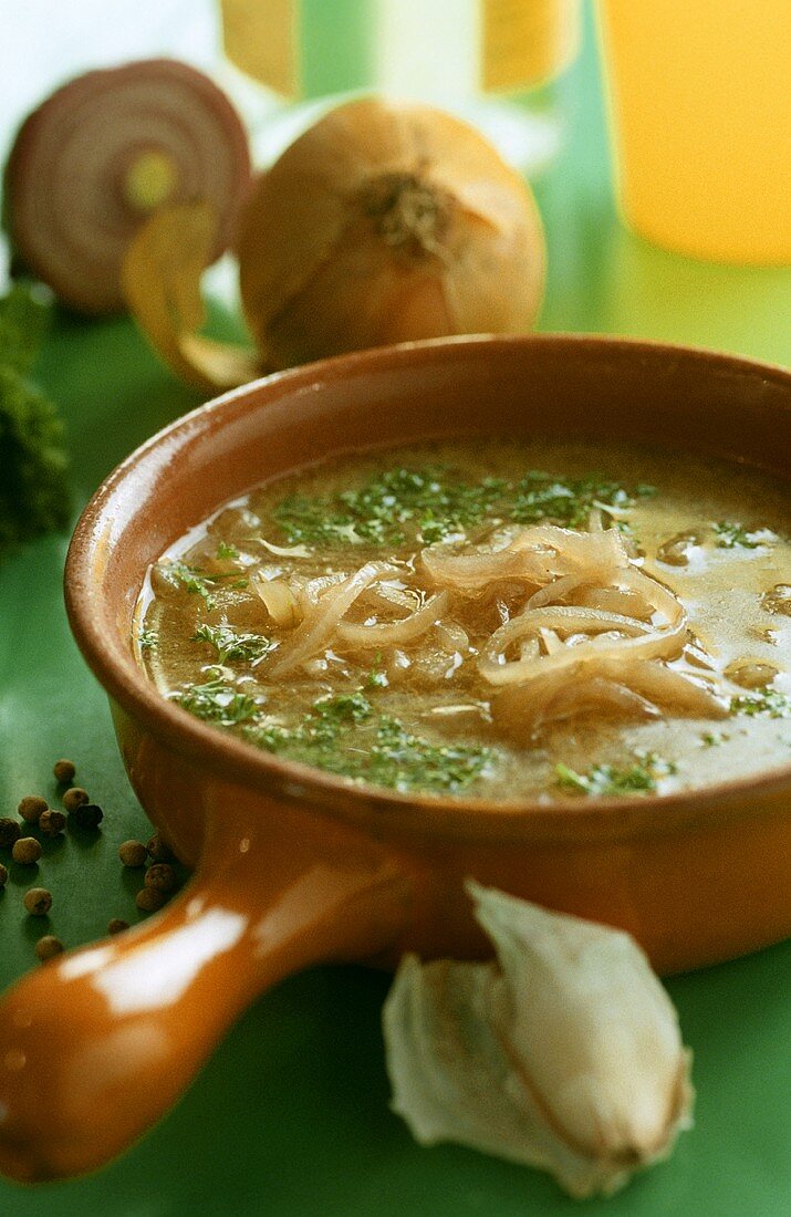 Onion soup with parsley in soup cup