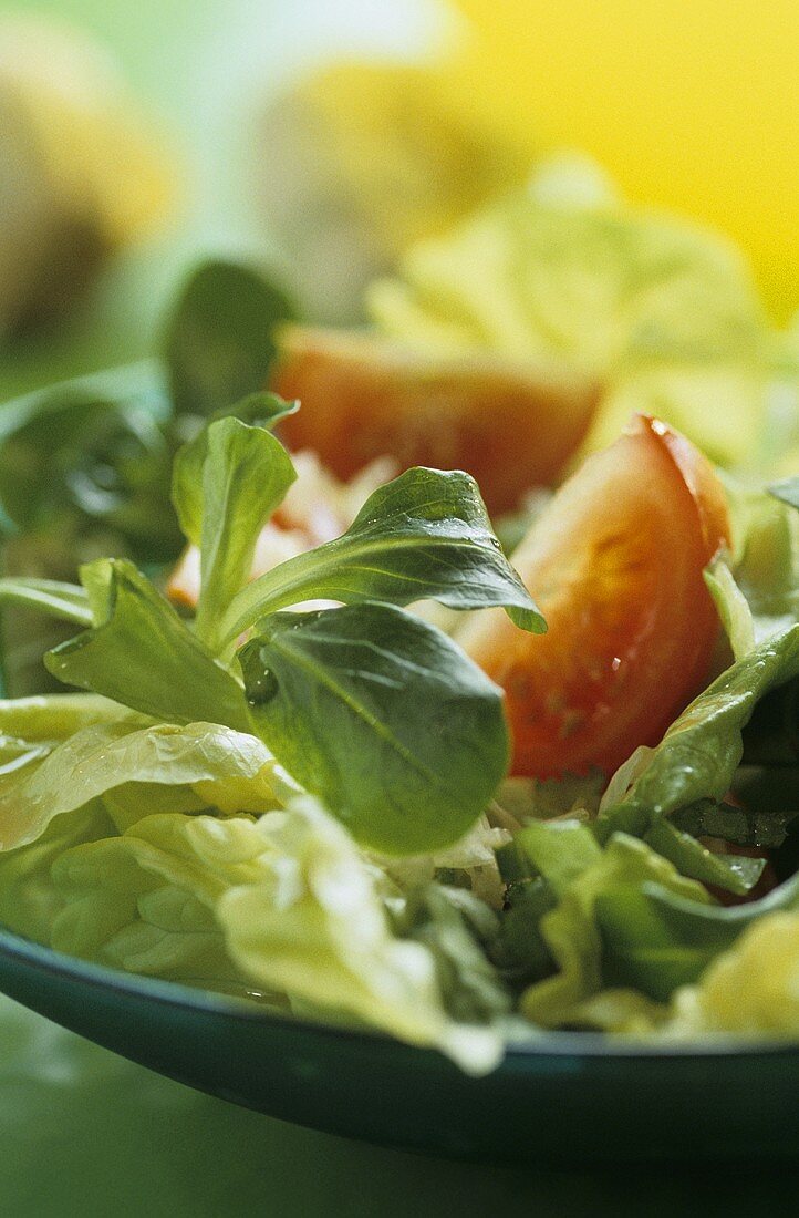 Gemischter Salat mit Tomaten