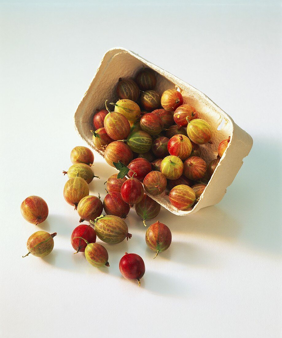 Gooseberries, partly in cardboard punnet