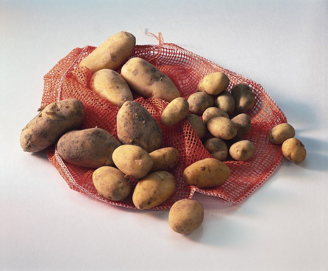 Potatoes on red net