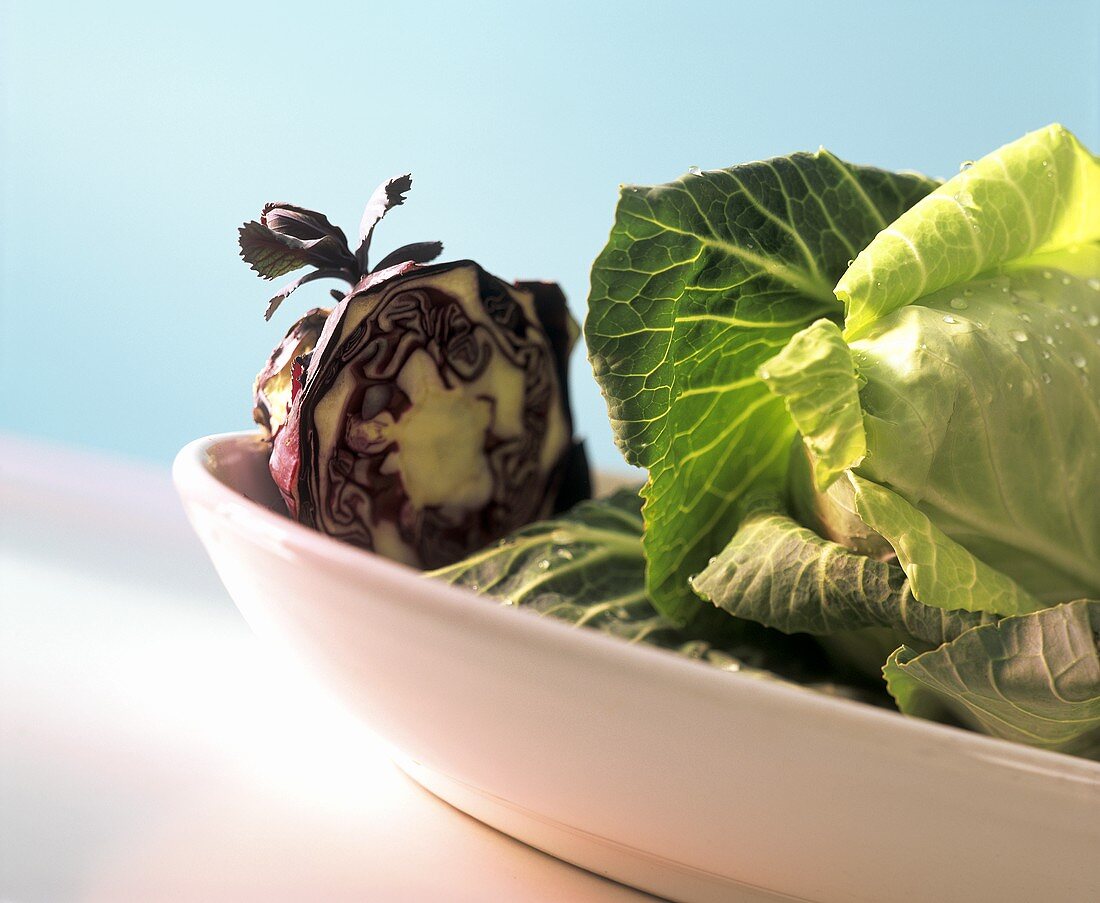 Various types of fresh cabbage with drops of water