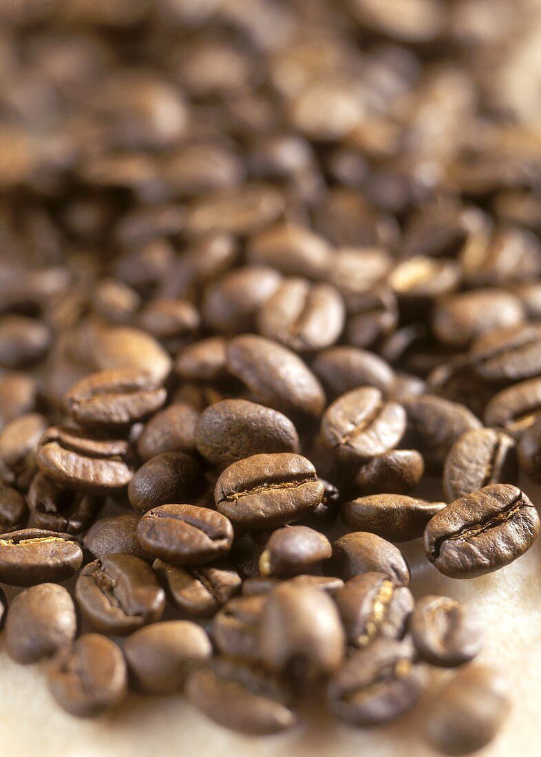 Many Coffee Beans