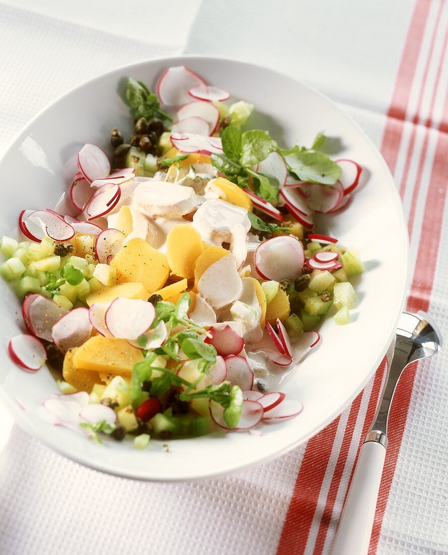 Kartoffelsalat mit Radieschen, Gurke und Brunnenkresse