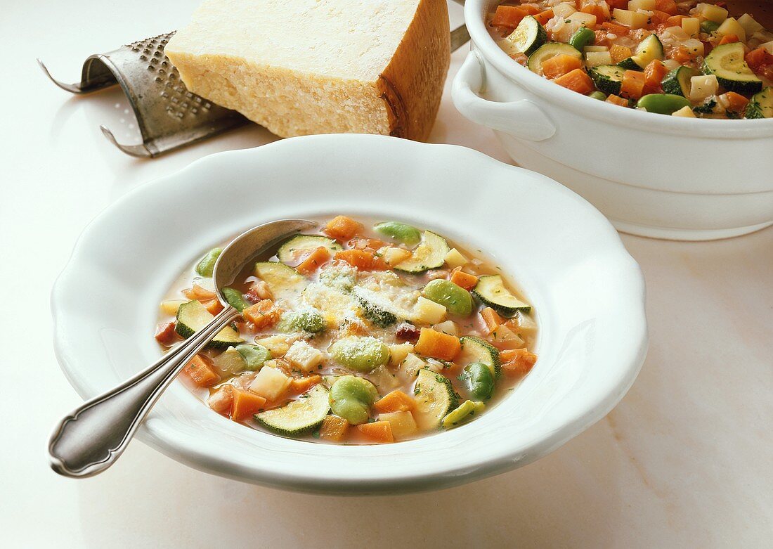 Minestrone (vegetable soup with noodles, Italy)