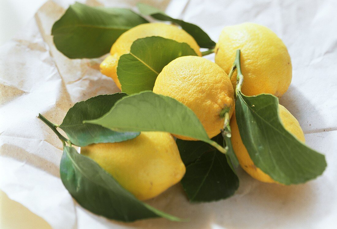 Lemons with leaves on paper